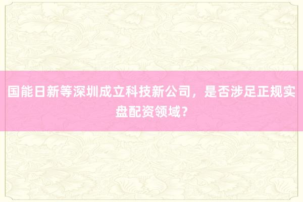 国能日新等深圳成立科技新公司，是否涉足正规实盘配资领域？