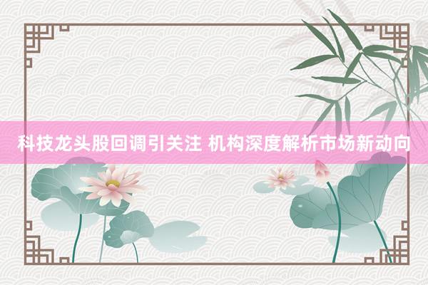 科技龙头股回调引关注 机构深度解析市场新动向