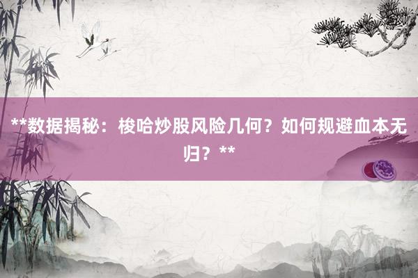 **数据揭秘：梭哈炒股风险几何？如何规避血本无归？**