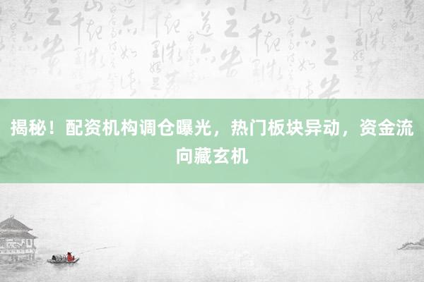 揭秘！配资机构调仓曝光，热门板块异动，资金流向藏玄机