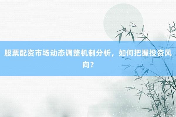 股票配资市场动态调整机制分析，如何把握投资风向？